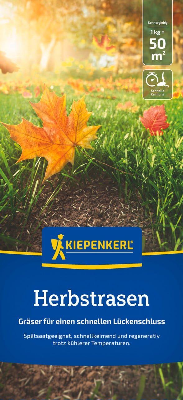 Kiepenkerl Herbstrasen 1085282, Rasensaat | Für kühle Temperaturen, für Spätsaat und Rasenteppich