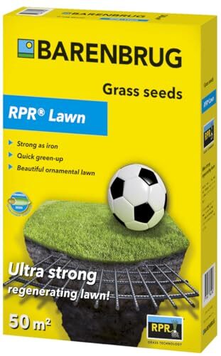 Rasensamen Barenbrug RPR Lawn 1 kg - Great in Grass - Grassamen Sportrasen Spielrasen