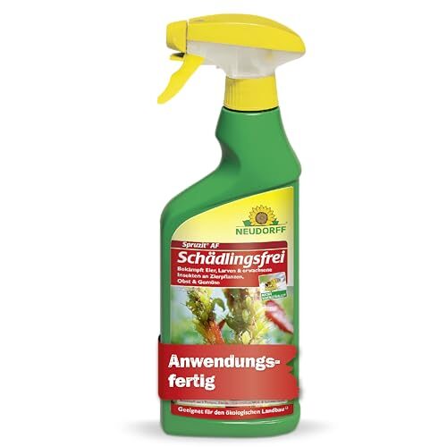 Neudorff Spruzit AF Schädlingsfrei 500 ml – Anwendungsfertiges Spray gegen Blattläuse, Buchsbaumzünsler, Thripse, Spinnmilben & Weiße Fliegen für Zierpflanzen, Gemüse, Obst & Kräuter