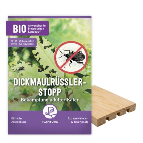 Plantura Dickmaulrüssler-Stopp, 1 Falle für 10 m² / 5 m Hecke