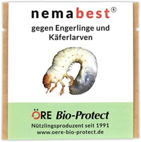 nemabest® HB Nematoden für 50m² (25 Mio.) gegen Engerlinge und Käferlarven vom Gartenlaubkäfer, Junikäfer, Maikäfer u. a.