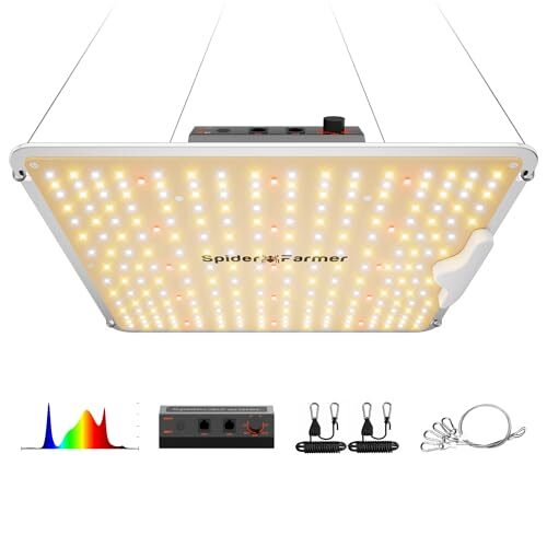 Spider Farmer SF1000 LED Grow Lampe Dimmbar Vollspektrum 60x60/90x90cm Zelt | Neueste Generation 100W Pflanzenlampe & Grow Light mit 2.5 System-PPE & hocheffizienten Dioden für Sämlinge, Gemüse & Blüte