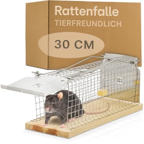 Praknu Rattenfalle Lebendfalle 30 cm Groß aus FSC® Holz - Tierfreundlich & Wiederverwendbar - Sofort Einsatzbereit - Für Ratten, Wühlmäuse & Siebenschläfer - Lebend Mausefalle - Rat Trap