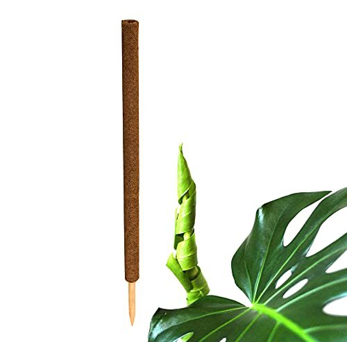 BigDean Pflanzstab Kokos 110 cm Monstera Rankhilfe Rankstab Kokosstab
