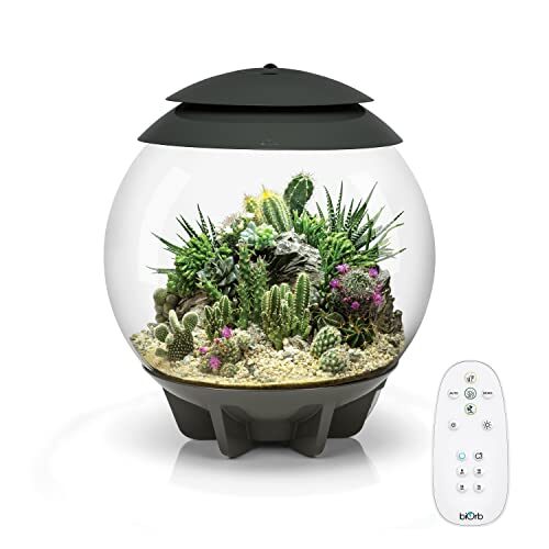 biOrb 71749 AIR 30, grau - automatisches Terrarium zur bequemen Pflanzenpflege, geeignet für empfindliche und exotische Pflanzen