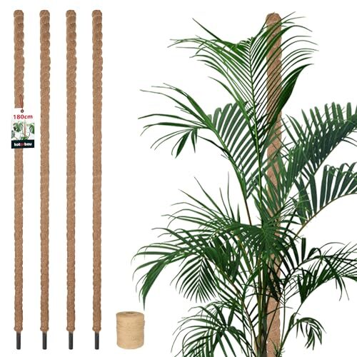 KOTARBAU® Moosstab für Monstera ⌀ 3,2x180 cm, Rankhilfe für Zimmerpflanzen