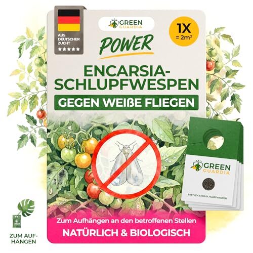 GREEN GUARDIA Encarsia Schlupfwespen gegen weiße Fliege – 1x Karte für 5m² - Natürlich weiße Fliegen bekämpfen, ideal für Innenräume & Gewächshaus, chemiefrei & sicher