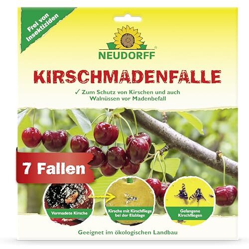 Neudorff KirschmadenFalle – Schützt Kirschen und Walnüsse vor Madenbefall, insektizidfreie Leimfalle, 7 Stück
