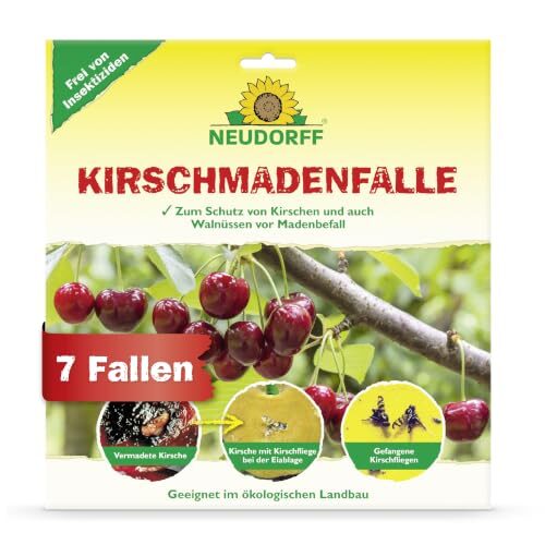 Neudorff KirschmadenFalle – Schützt Kirschen und Walnüsse vor Madenbefall, insektizidfreie Leimfalle, 7 Stück