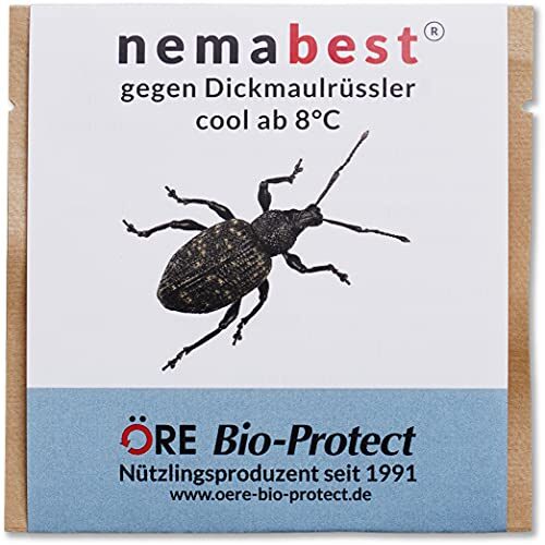nemabest® cool HB+SF Nematoden zur Bekämpfung des Dickmaulrüsslers