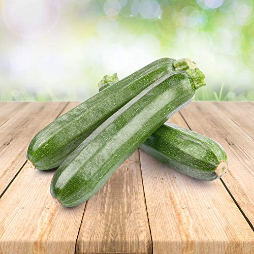 grüne Zucchini 25 x Samen - Aus Portugal 100% Natürlich Ohne Chemische Anzuchthilfe Oder Gentechnik, Einfach Nur Natur Pur