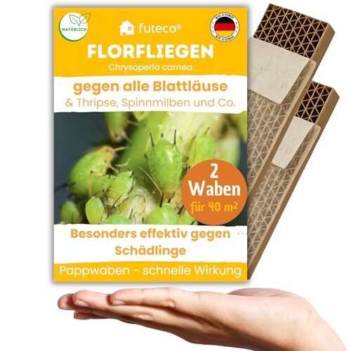 Florfliegenlarve gegen Blatt-/Wollläuse, Spinnmilben & Thripse – 2 Waben