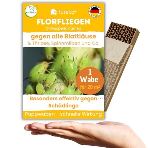 Futeco® – Florfliegenlarven gegen Blattläuse, Spinnmilben, Thripse & Co. - Wabe für besonders schnellen Effekt - 1 Wabe für ca. 20 m² - starke Wirkung bei Gemüse-, Cannab.- & Zierpflanzen