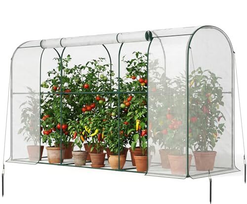 SUNYRISY Tomaten Gewächshaus Klein Foliengewächshaus 300x100x170 cm, Tomatenhaus Tomatenzelt mit Tomatendach, Greenhouse mit Rollentür und Windschutzseil für Balkon Outdoor, Bogen Weiß