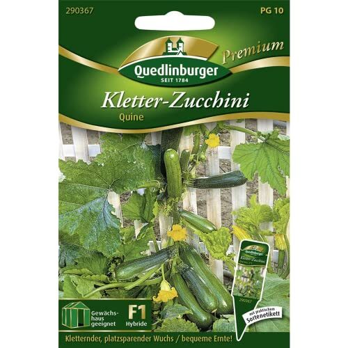 Quedlinburger Saatgut - Kletterzucchini Quine Samen