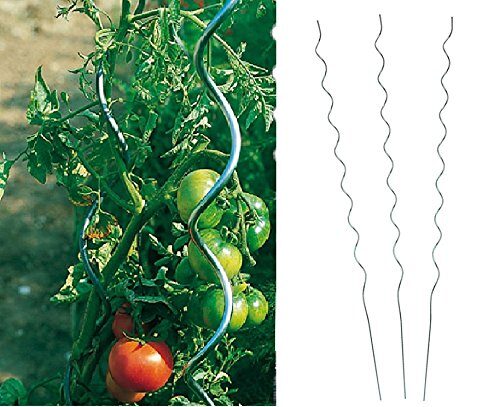 Benelando Tomaten-Spiralstab 180cm Stahl verzinkt - 2. Wahl (15)