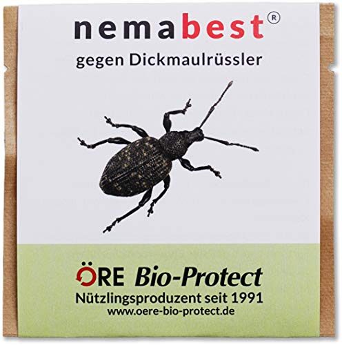 nemabest® HB Nematoden zur Bekämpfung des Dickmaulrüsslers - gegen Insekten, 10 Mio. für 20m²