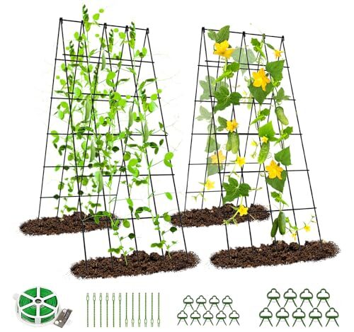 SUNYRISY 2er Set Metall Gurke Rankhilfe, Rankgitter für Gurke, Gitternetz Kletterpflanzen Rankhilfe, Tomaten Rankhilfe, Pflanzenstütze für Blumen & Nutzpflanzen, Schwarz