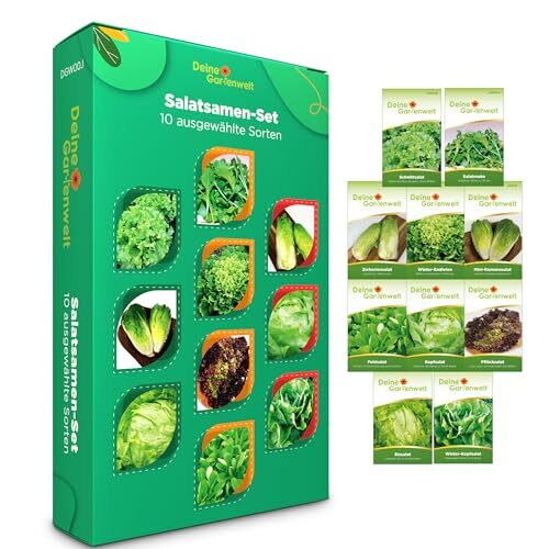 Salat Samen Set – 10 Sorten Salatsamen – Anzuchtset für Salat – Pflücksalat, Feldsalat, Kopfsalat, Eisbergsalat, Romanasalat, Wintersalat & Mehr – ideal als Geschenkset
