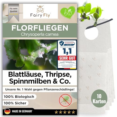 FairyFly® Florfliegenlarven gegen Blattläuse & Wollläuse (10 Karten) – Nützlinge zum Aufhängen für Zimmerpflanzen – biologische Schädlingsbekämpfung ohne Chemie – Florfliegen Eier