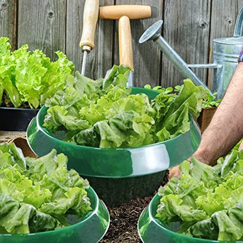 Schneckenschutz- Schneckenkragen, 20 Stücke Schneckenabwehr Ohne Chemie, Effektiver Schneckenschutz für Ihre Salatpflanzen und Kohl