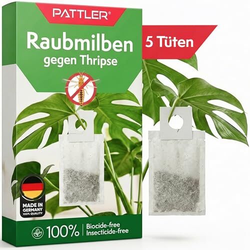 Pattler Raubmilben gegen Thripse & Spinnmilben – 5 Stük. Biologische Schädlingsbekämpfung mit Amblyseius cucumeris – Effektiv zur Thripse Bekämpfung & Spinnmilben bekämpfen im Garten & Gewächshaus