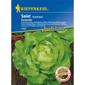 Sperli 2454 Gemüsesamen Kopfsalat Dynamite, grün