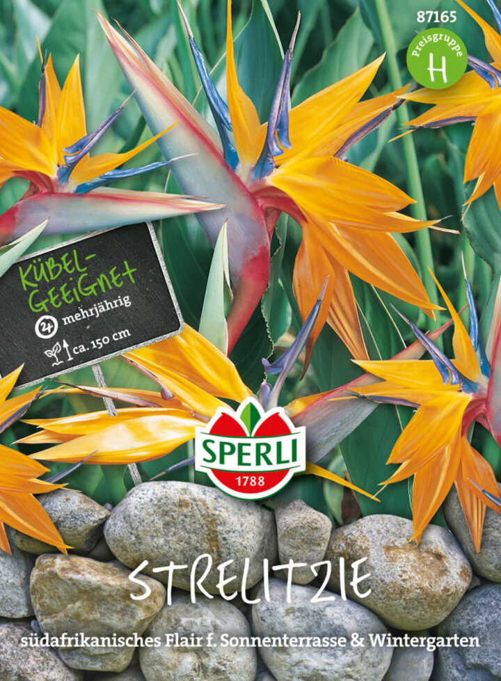 Sperli Strelitziensamen "SPERLI's Papagei" 87165, Saatgut