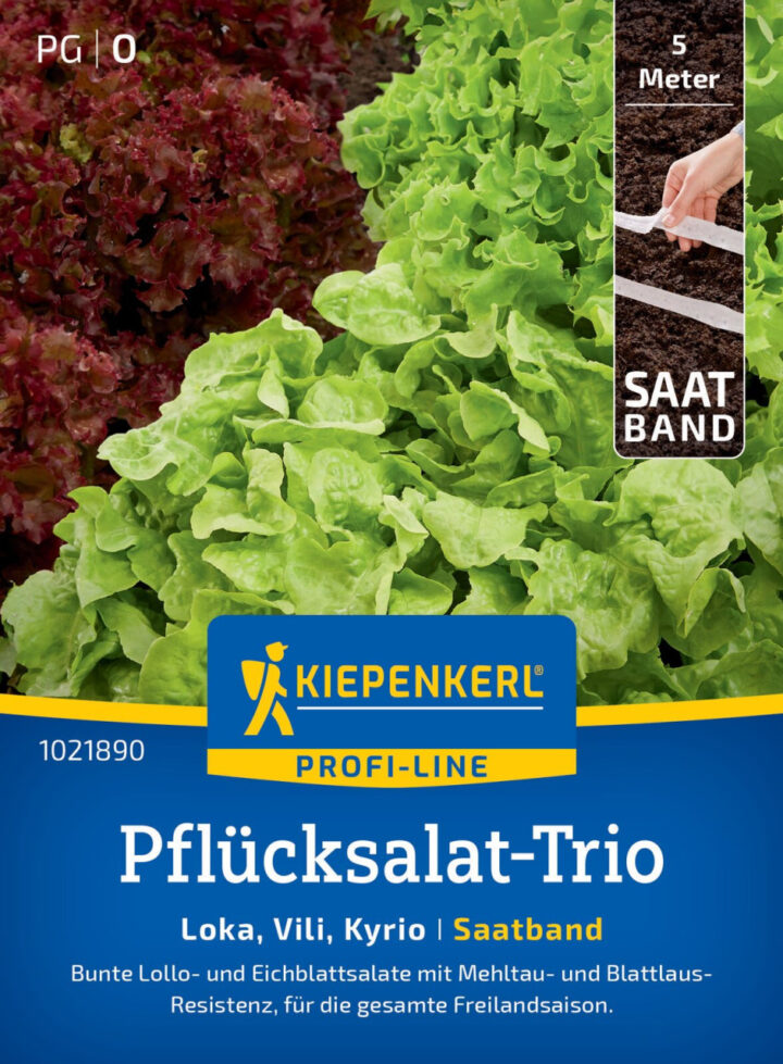 Kiepenkerl Pflücksalat-Triosamen Loka 1021890, "Vili", Kyrio