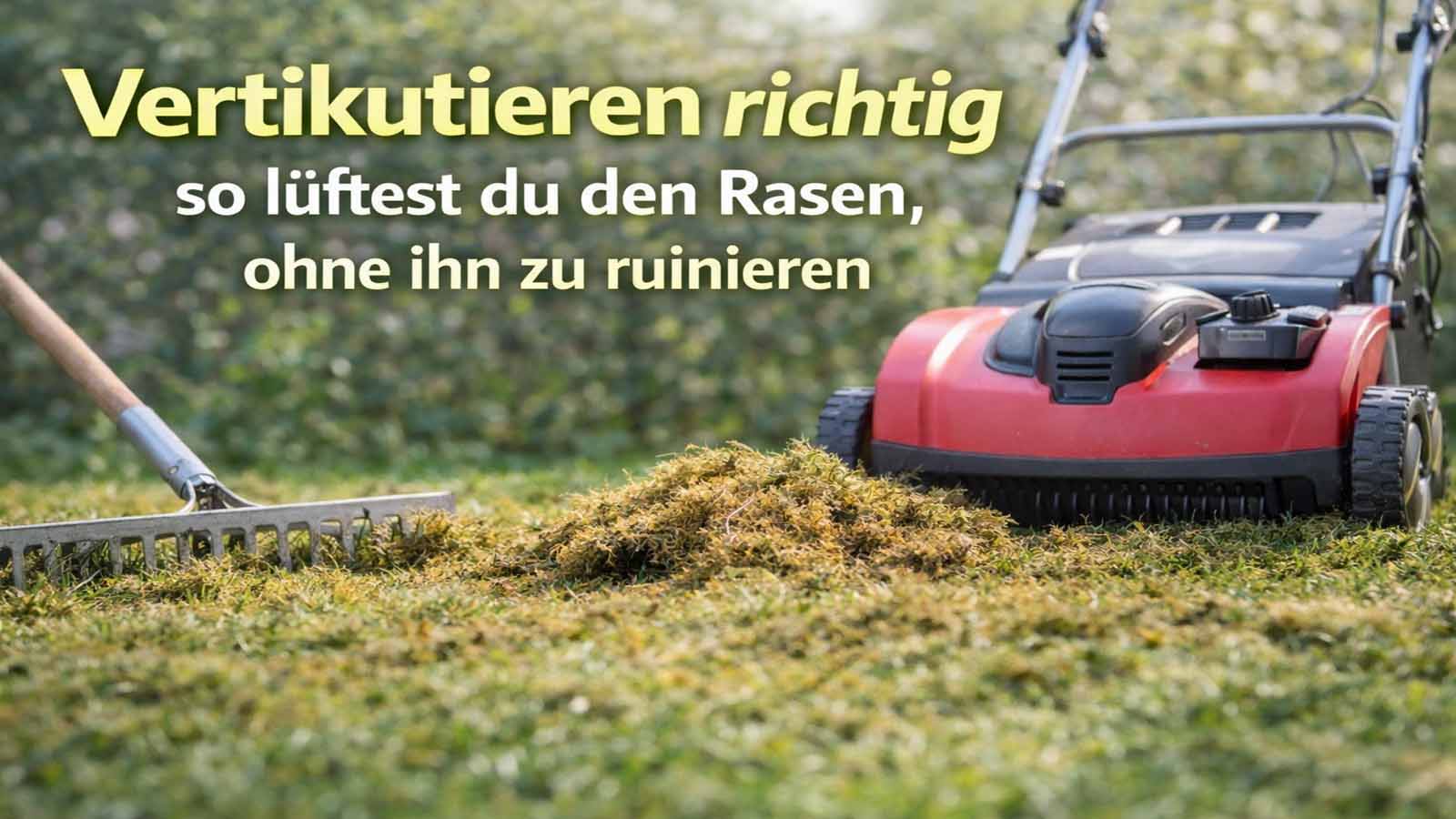 Roter Vertikutierer entfernt Filz und Moos vom Rasen; daneben liegt ein Rechen und ein Haufen ausgetragenes Material.