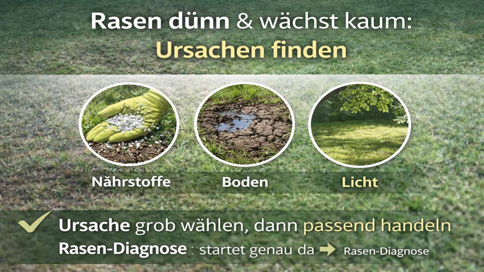 Infografik „Rasen dünn & wächst kaum“ mit drei Ursachenfeldern: Nährstoffe, Boden und Licht sowie Hinweis, die Ursache zu wählen und passend zu handeln.