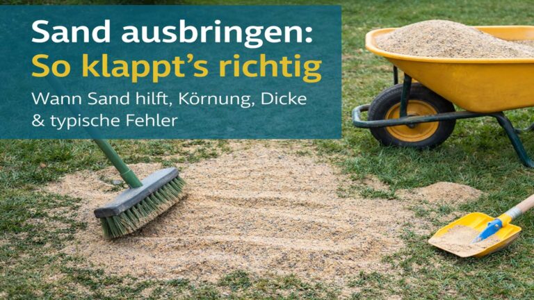 Sand ausbringen im Rasen: So klappt „Sanden – aber richtig“