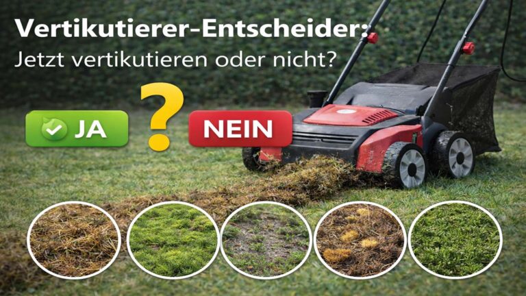 Vertikutierer-Entscheider: Jetzt vertikutieren oder nicht?