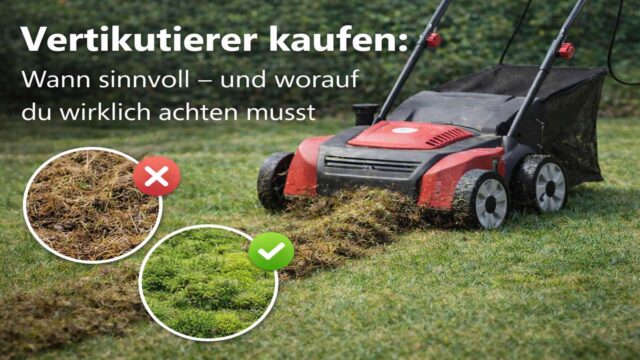 Vertikutierer kaufen: Wann sinnvoll – und worauf du wirklich achten musst