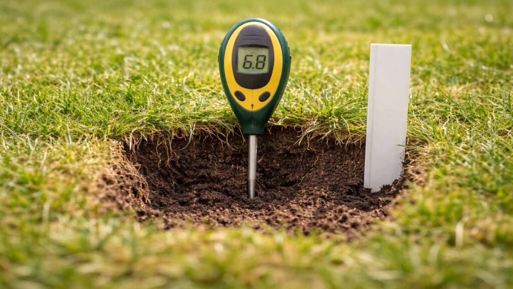 Bodenprobe wird aus 5–10 cm Tiefe unter der Grasnarbe entnommen.