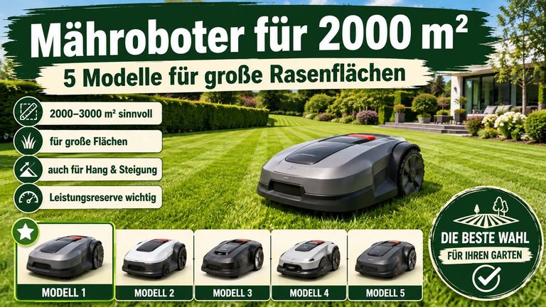 Welcher Mähroboter für 2000 m² ist der beste? 5 Modelle für große Rasenflächen