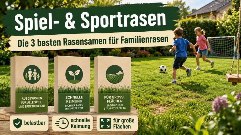 Welcher Spiel- und Sportrasen ist der beste? 3 Rasensamen für einen belastbaren Familienrasen